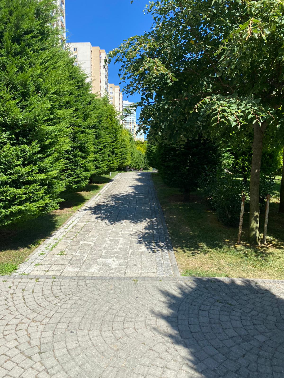 Site görseli 5